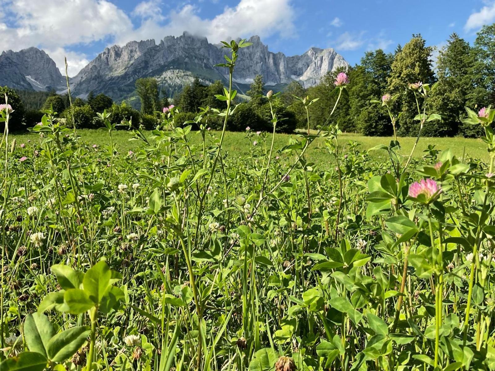 Chalet Belle Kitz By Belle Stay Кицбюэль Экстерьер фото